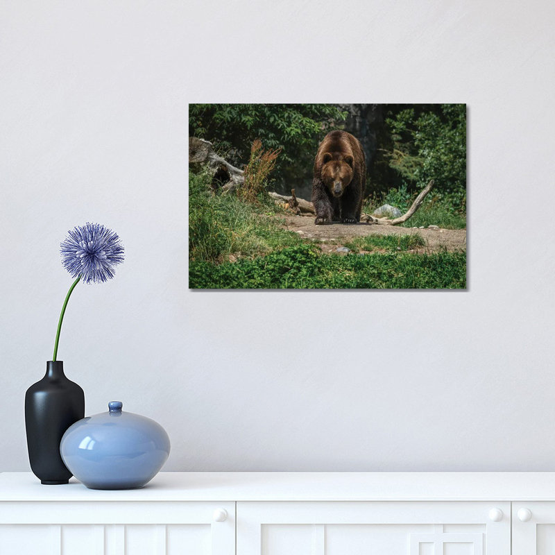 Im Coming For You by Louis Ruth - Wrapped Canvas Print, 30.48cm H x 45.72cm Wx 1.905cm D