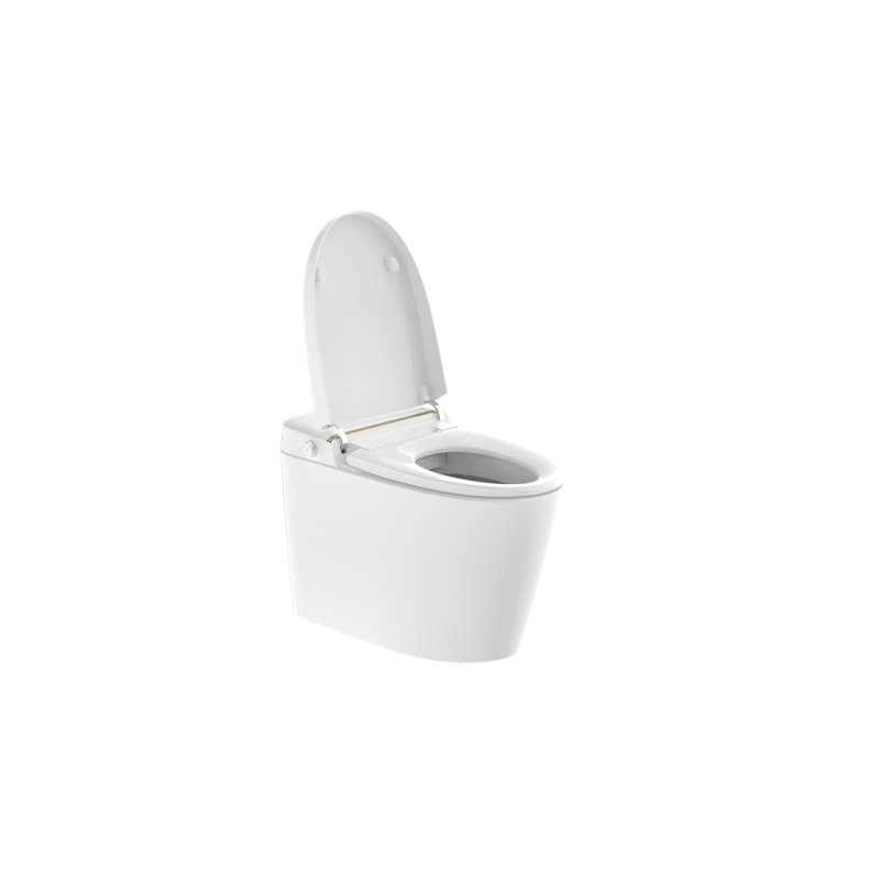 Toilette intelligente avec pulvérisateur d'eau chaude et sécheuse, capteur de pied, siège de bidet chauffant, toilette sans réservoir avec affichage DEL