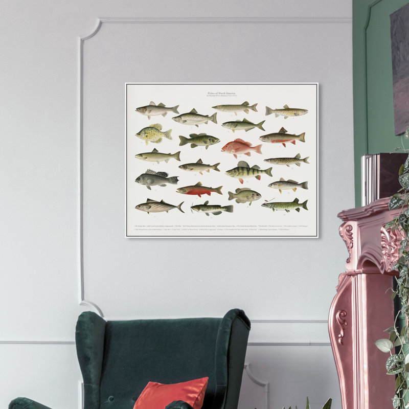 " American Fish " Painting Print, White Framed, 45" H x 36" W