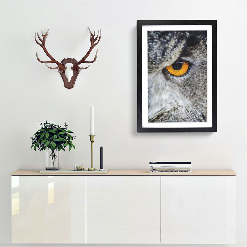 Eye of an Owl - Picture Frame Painting Print, Black Framed, 33cm H x 24cm W x 2cm D