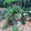 Pot à fleurs Muggly's Aunt Minnie-901691962-901691959