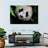 Panda Surprise-1004256819