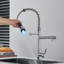 Belfry Kitchen Almena Pull Down Kitchen Faucet