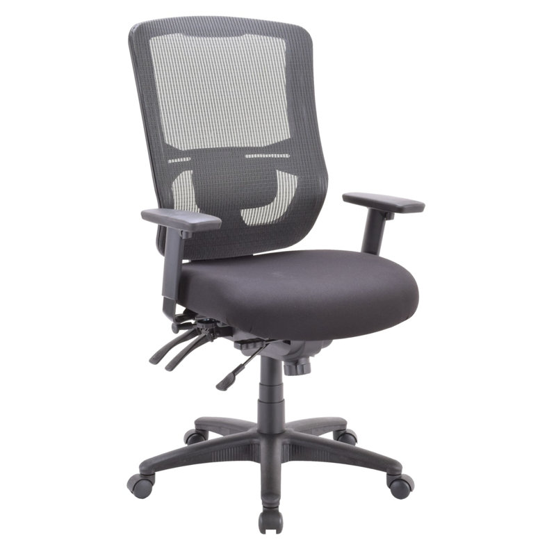 Apollo II Multi-Function High Back Task Chair with Adjustable Lumbar Pad