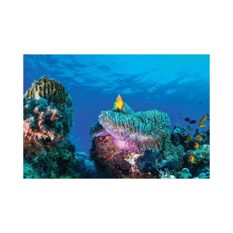 Sea Life by Roberto Marchegiani - Wrapped Canvas Gallery-Wrapped Canvas Giclée, 66.04 cm H x 45.72 cm W x 1.91 cm D