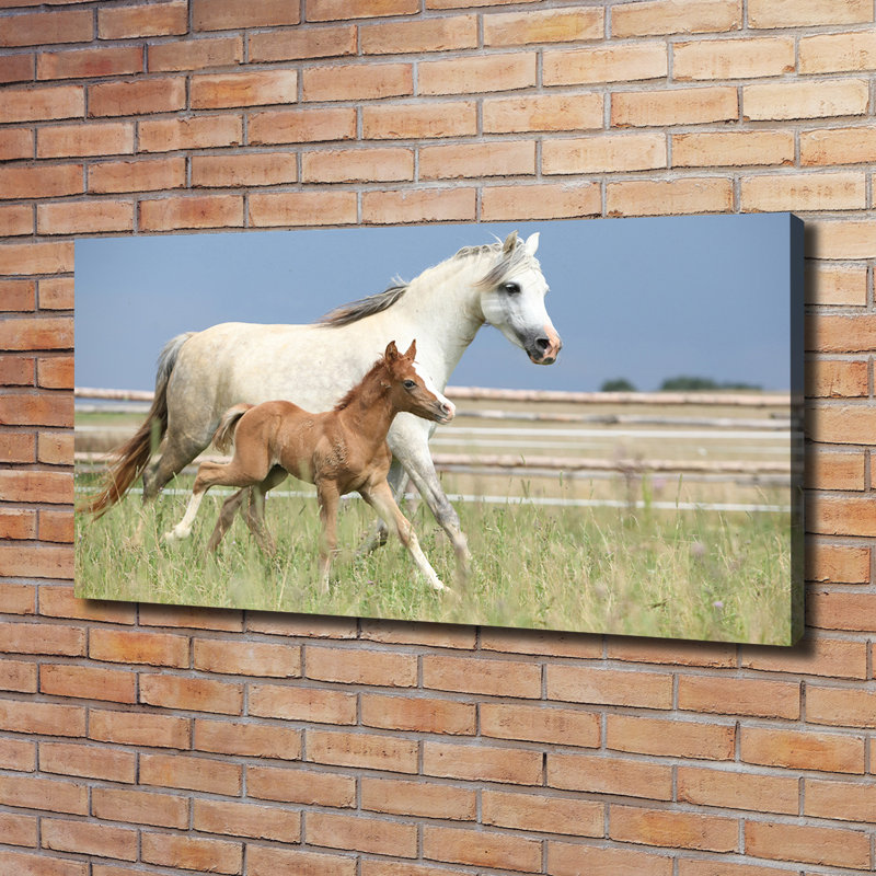 Mare With Foal - Wrapped Canvas Print