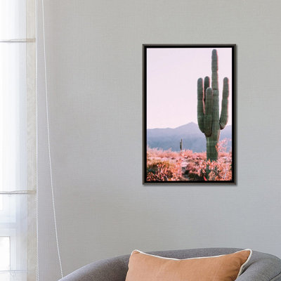 Cactus du désert - reproduction de photo
