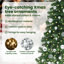 4.92' H Lighted Artificial Christmas Tree