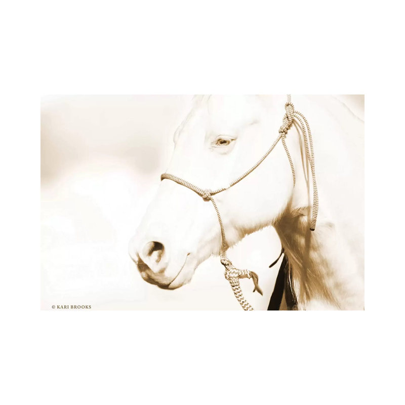Sepia Medicine Man by Kari Brooks - Wrapped Canvas Print, 20.32cm H x 30.48cm W x 1.91cm D