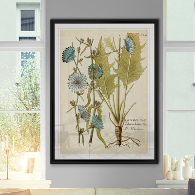 " Eloquent Botanical I "