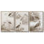Oiseaux d'eau sépia I, ensemble de 3 toiles encadrées-97706974-97706979