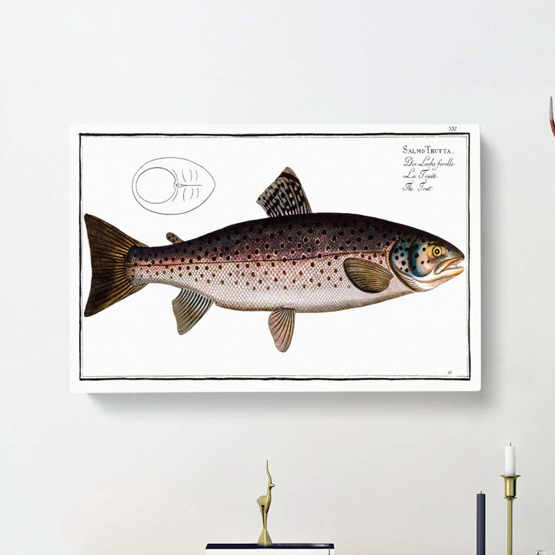 Brown Trout Fish by M.E. Bloch - Wrapped Canvas, 40cm H x 60cm W x 3cm D