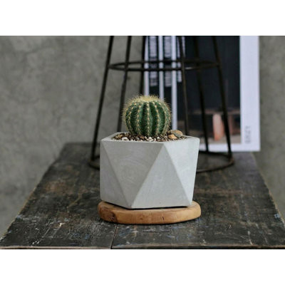 Pot de fleurs pentagonal géométrique en béton (lot de 12) - Argenté pour extérieur