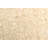 Sienna Tan Rug 4'9" x 6'7"