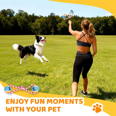 Équipement d'entraînement d'agilité pour chiens