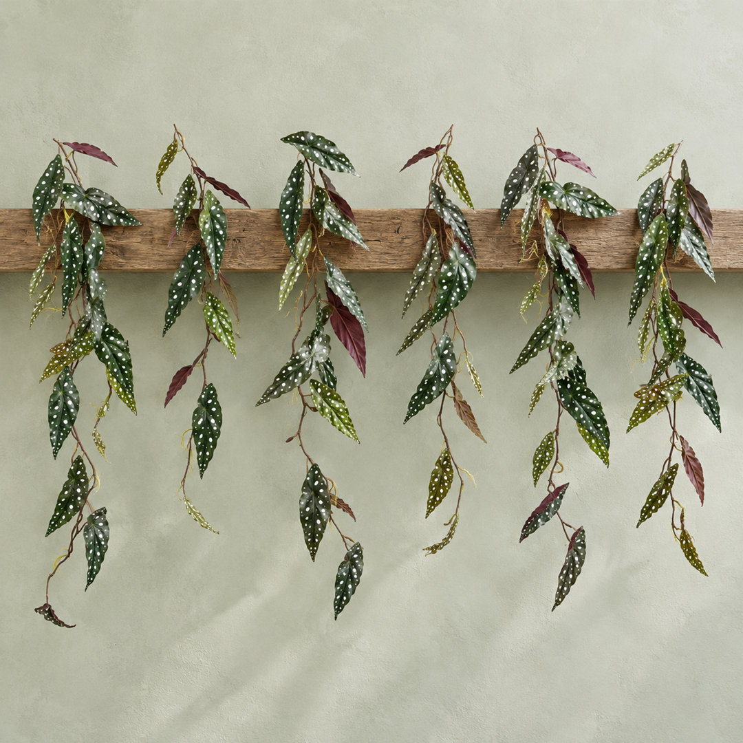 6x Artificial Hanging Begonia Maculata Plants 110cm Spotted Trailing Vine - Image 4