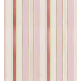 CHARLOTTE STRIPE