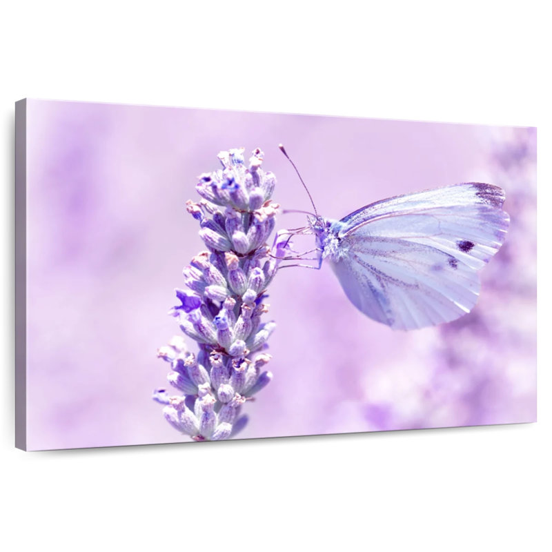 Brampt Lavender Butterfly, 8" H x 12" W