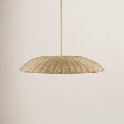 Single Light Pendant