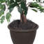 Série de ficus artificiels panachés-1288919188