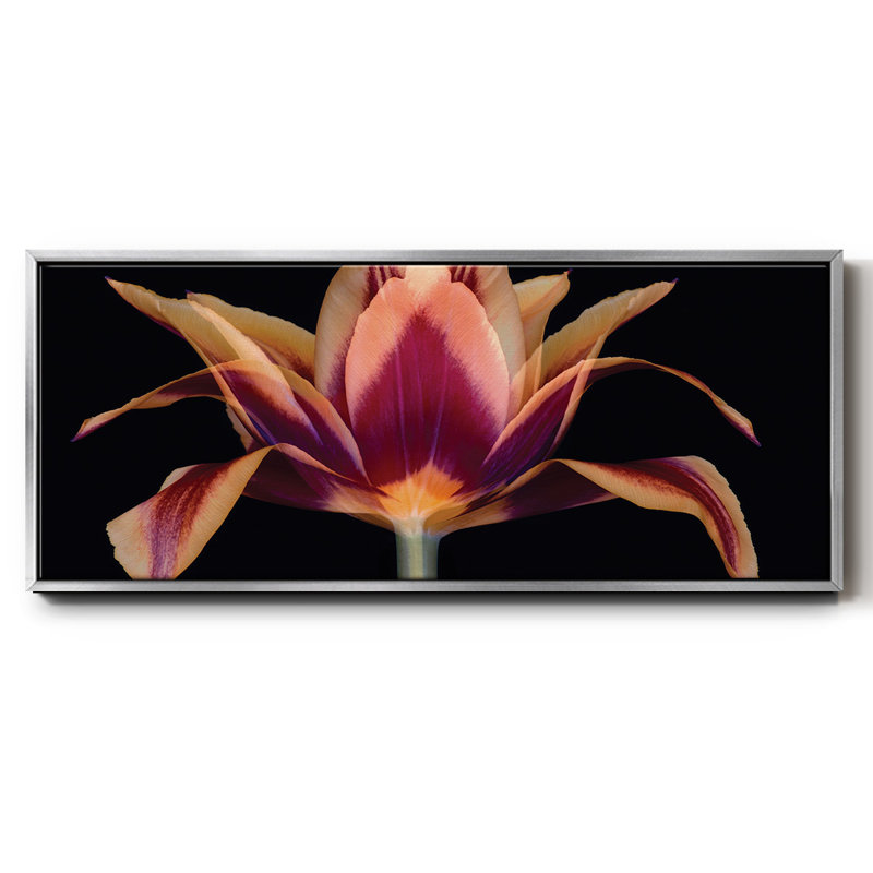 Tulipe rouge - toile encadrée, H 8 po x l 20 po