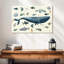 Animaux de mer-107673853