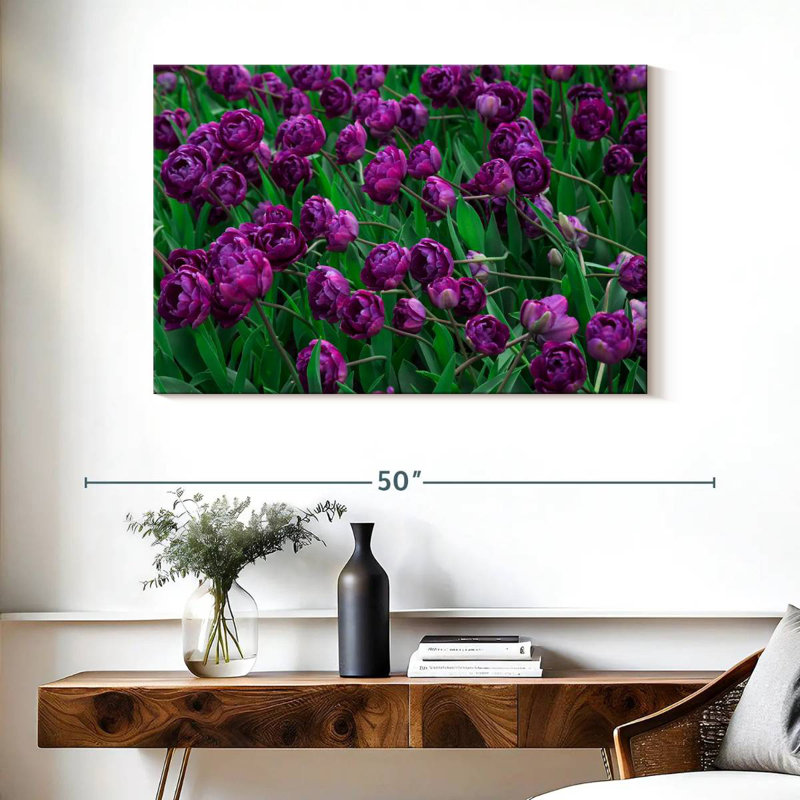 Tulipes violettes
