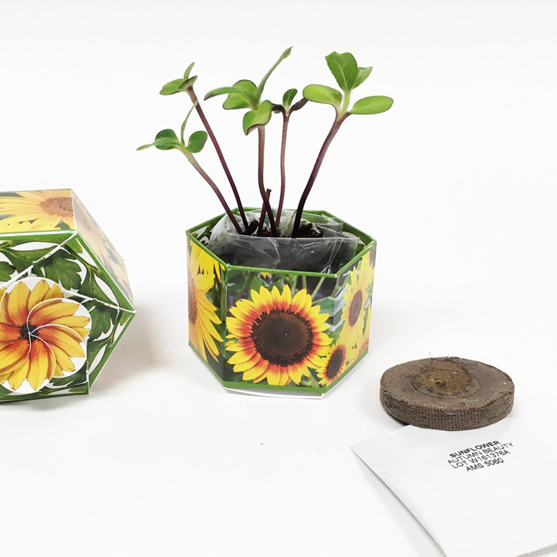 Glass Pot Planter