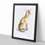 Allied Cat by John Edward Gray - Single Picture Frame Painting-55545030-55545038