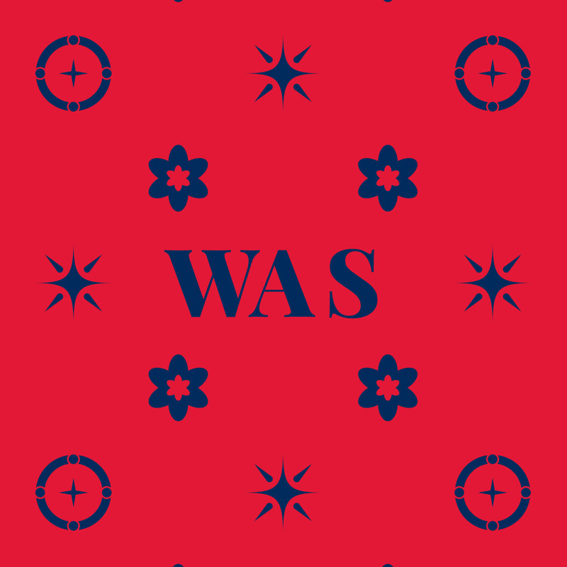 Coussin en polyester filé et fermé Washington Basketball 20 pouces x 14 pouces