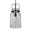 Luminaire suspendu bocal unique 1 lumière Nouvelle