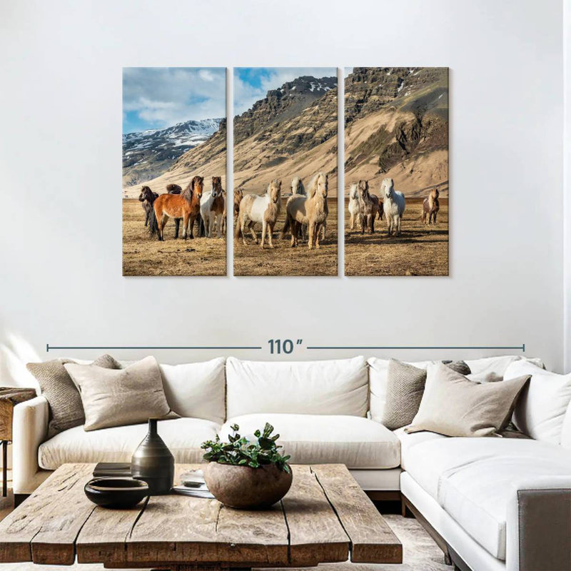 Brampt, chevaux islandais à la campagne, H 48 po x l 74 po