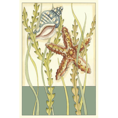 Shell Season I by Chariklia Zarris - Wrapped Canvas Painting