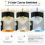 Algenis Crystal Chandelier-96541672