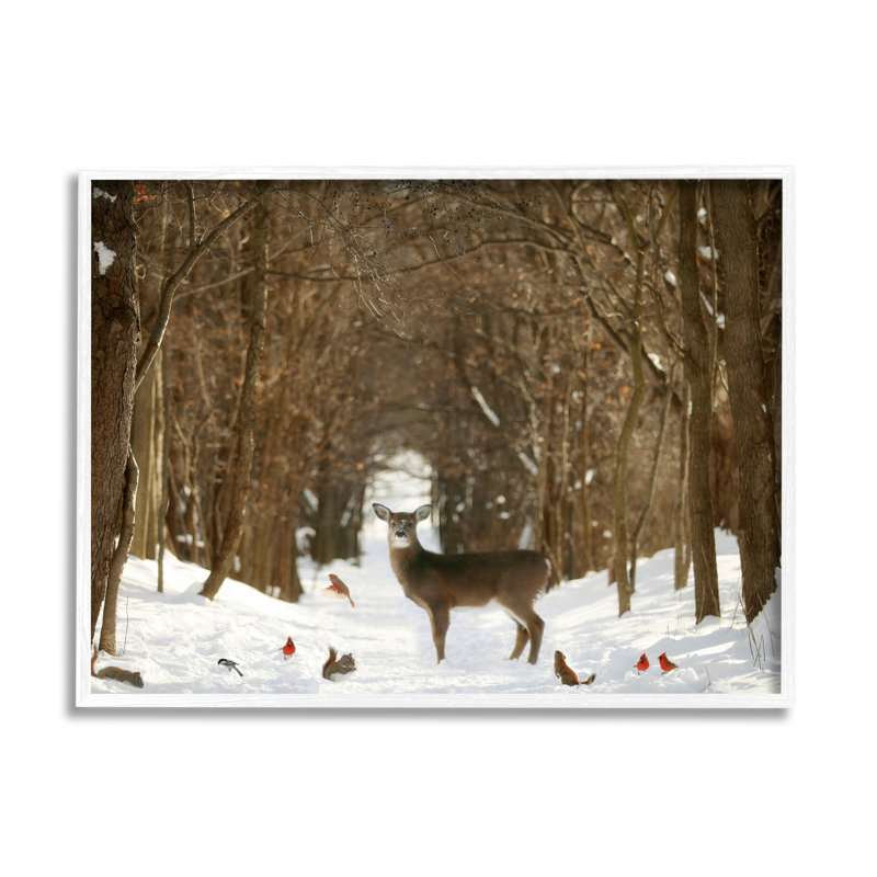 Wild Forest Animals Gathered Amidst Snowy Trees - Photographie à cadre flottant sur toile, H 16 po x l 20 po x P 1,5 po