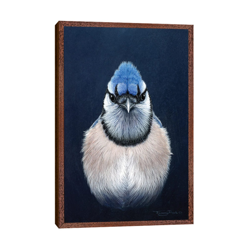 Blue Jay by Jeremy Paul - Print on Canvas, 66.04cm H x 45.72cm W x 3.81cm D, Classic Brown Wood Framed