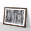 Montana Forest - Picture Frame Photograph Print-56860642-56860643