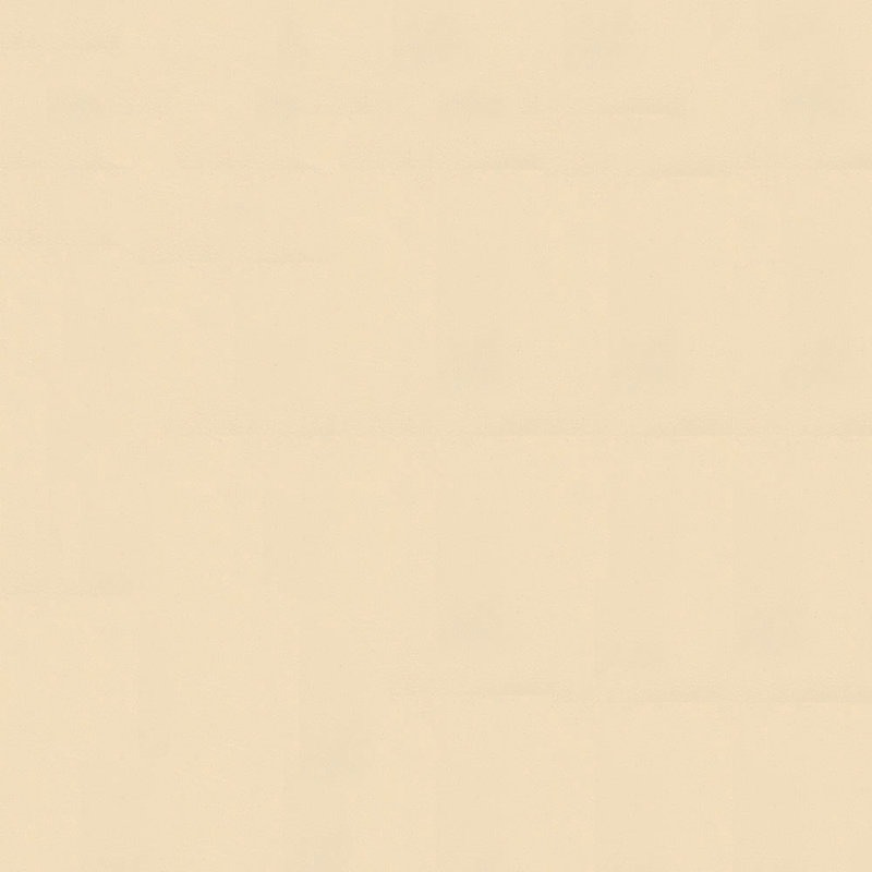 Tissu Navigator, Parchemin
