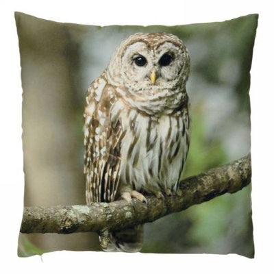 Coussin hibou Aleman