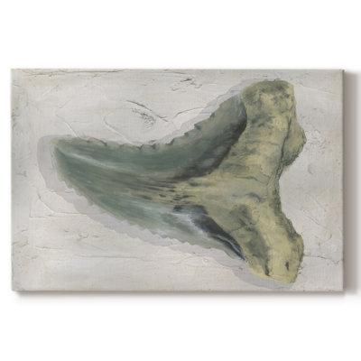 Aquarelle Sharks Tooth IV -Galery Wraraped Cavas