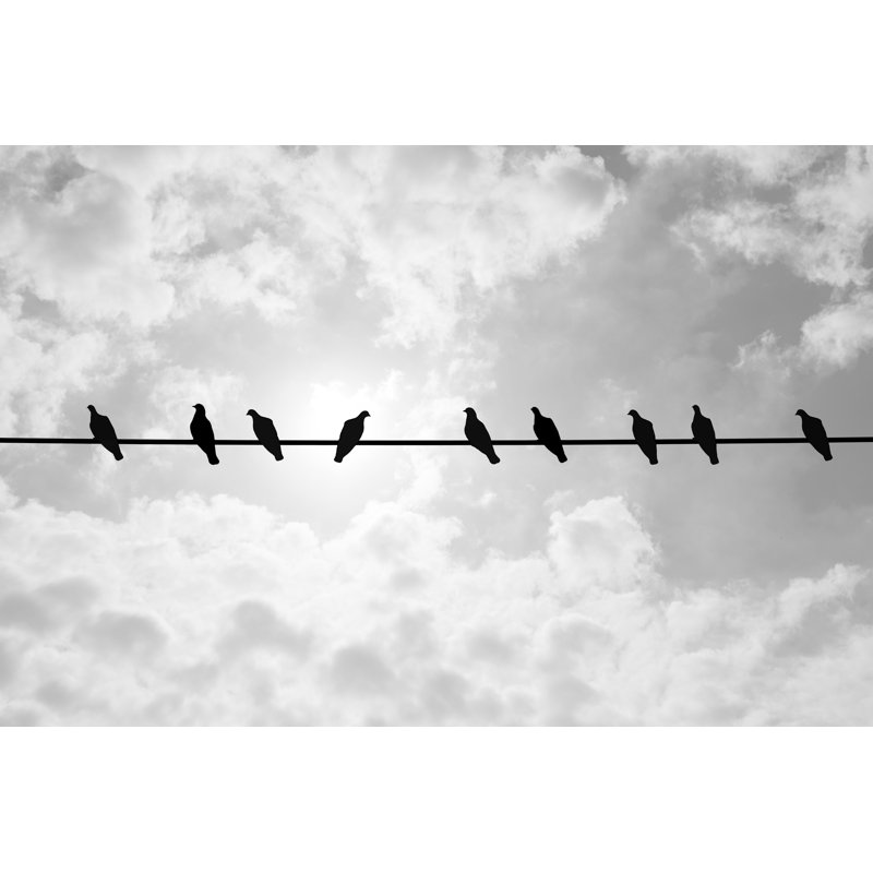 Fiodor, un pigeon qui pense différemment, H 20 po x l 30 po