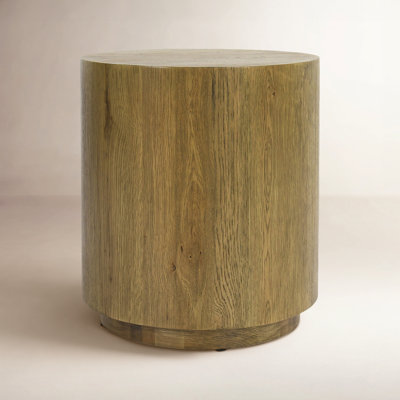 Taryn 20" End Table