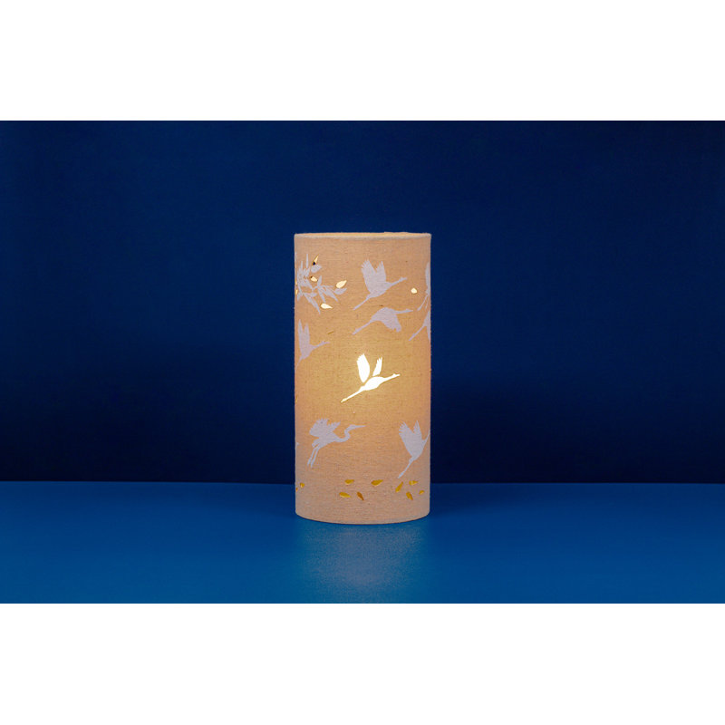 Novelty Lamp