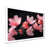 White Single Picture Framed Canvas