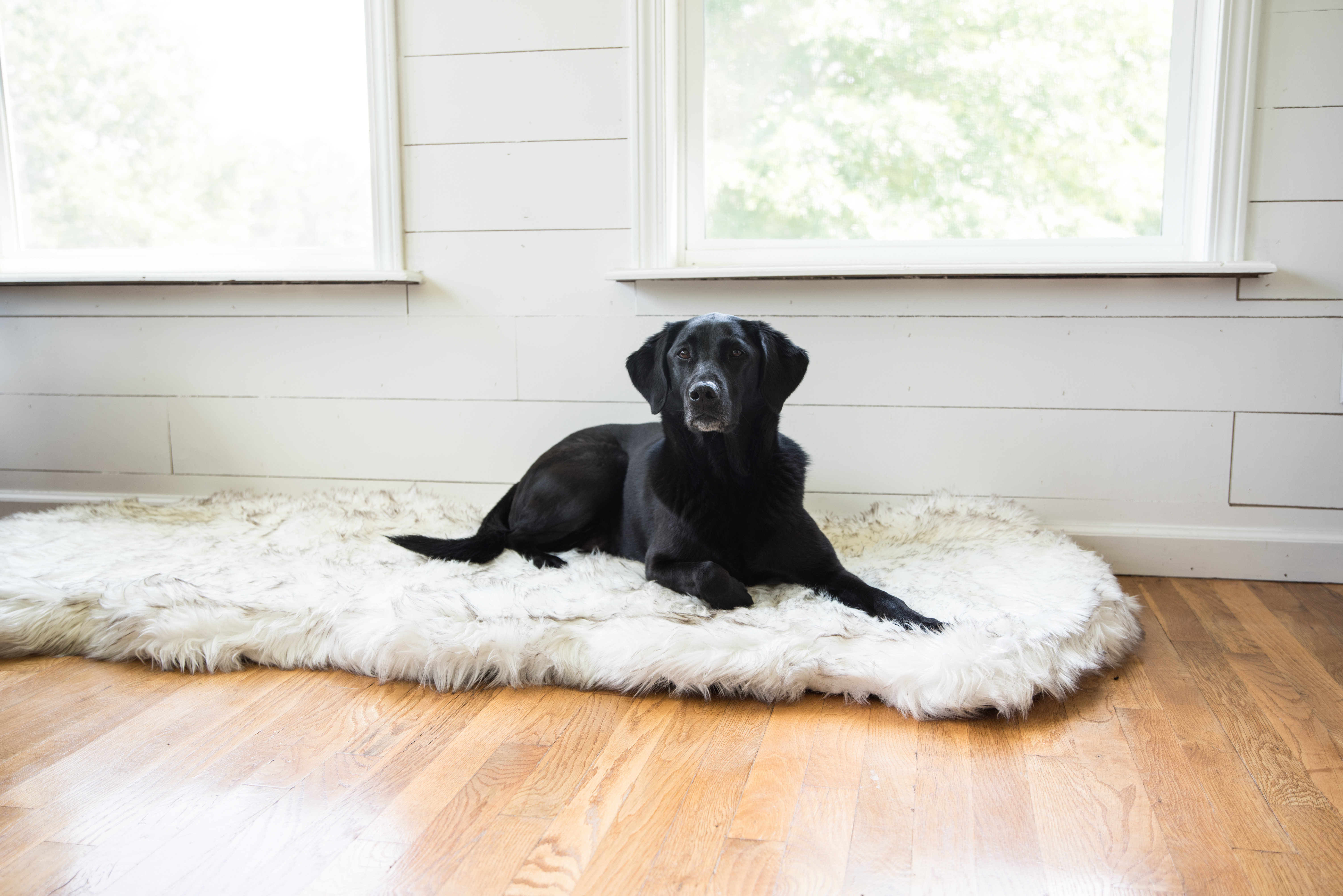 Pretor Puprug Runner Faux Fur Memory Foam Dog Curve Mat