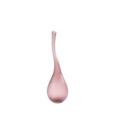 Curvature Bottle