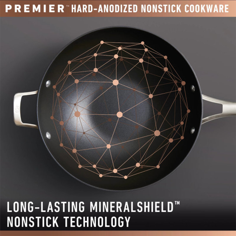 Premier Black Hard-Anodized Nonstick Roasting Pan with Rack and Handles