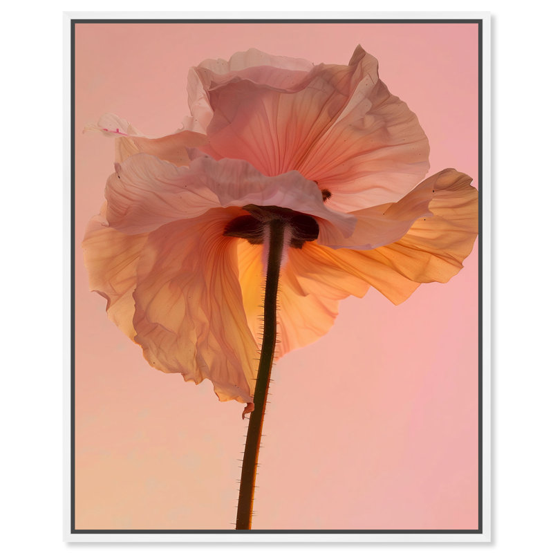 Amber Radiance IV Print by Oliver Gal, 17"H x 21"W, White Floater Frame