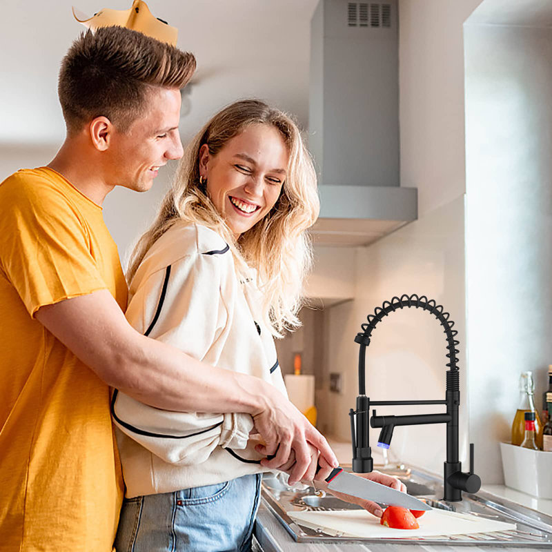 AWZTOO Pull Down Kitchen Faucet