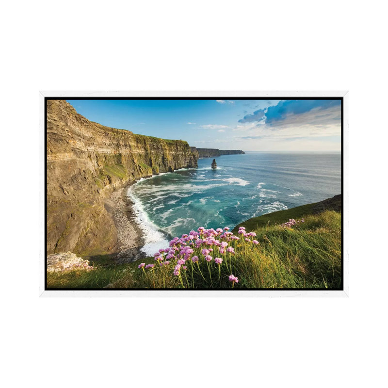 Thrift On The Cliffs Of Moher II by Gareth McCormack - Print on Canvas, White Framed Canvas, 66.04 cm H x 45.72 cm W